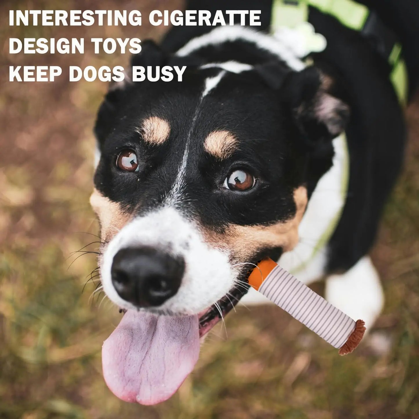 Cigarettes Dog Toy